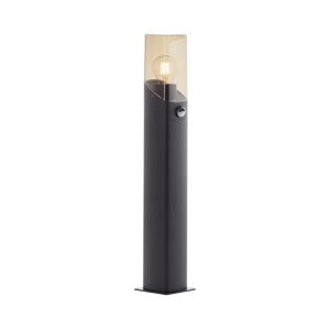 Brilliant Brilliant - Vonkajšia lampa so senzorom MINOU 1xE27/10W/230V IP44 čierna/dymová