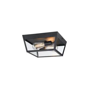 Westinghouse Westinghouse 61219 - Vonkajšie stropné svietidlo PETERSON 2xE27/40W/230V IP44