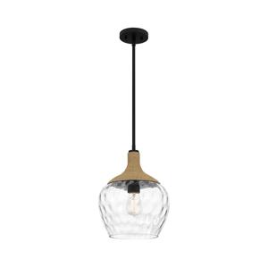 Elstead Quoizel QZ-ROYER-1P-MBK - Luster na tyči ROYER 1xE27/60W/230V pr. 30,2 cm