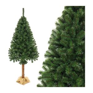 Vianočný stromček na kmeni 220 cm jedľa