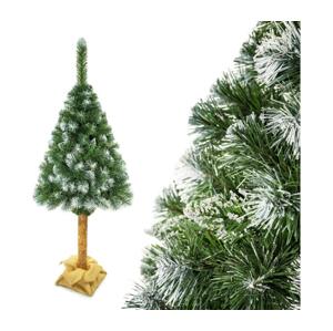 Vianočný stromček na kmeni 220 cm borovica