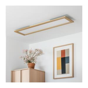 Brilagi Brilagi - LED Stmievateľné svietidlo SLIMFRAME WOOD LED/58W/230V 124x34 cm + DO