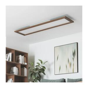 Brilagi Brilagi - LED Stmievateľné svietidlo SLIMFRAME WOOD LED/58W/230V 124x34 cm + DO