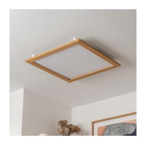 Brilagi Brilagi - LED Stmievateľné svietidlo SLIMFRAME WOOD LED/58W/230V 64x64 cm + DO