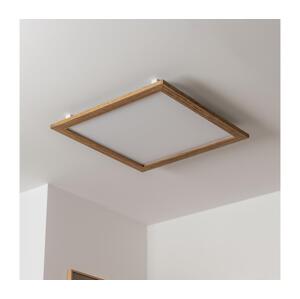 Brilagi Brilagi - LED Stmievateľné svietidlo SLIMFRAME WOOD LED/58W/230V 64x64 cm + DO
