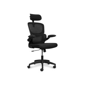 CONNECT IT CONNECT IT COC-2500-BK - Kancelárska stolička ForHealth DeltaPro čierna