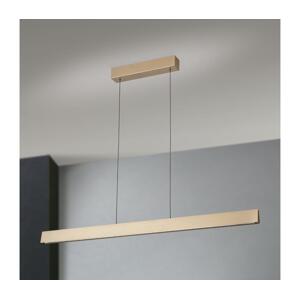 Orion Orion HL 6-1716/120 - LED Stmievateľný luster na lanku TARA LED/44W/230V zlatá