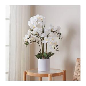 Eglo Eglo 428024 - Umelá rastlina HYUGA 65x50 cm orchidea