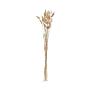 Eglo Eglo 428039 - Sušený kvet GUIPOS 60 cm béžová