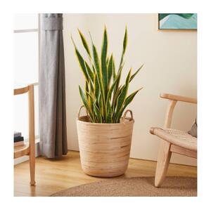 Eglo Eglo 426513 - Dekoračný kôš NARAHA 41x36 cm béžová