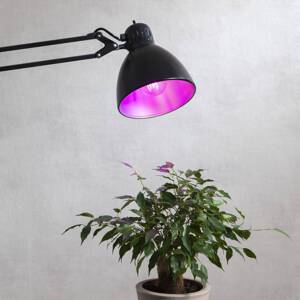 LED žiarovka pre rastliny, žiarovka A60, E27, 6,5 W červená
