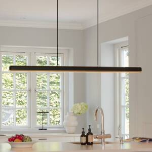 Závesné svietidlo UMAGE LED Hazel Branch, čierna/mosadz, 150 cm