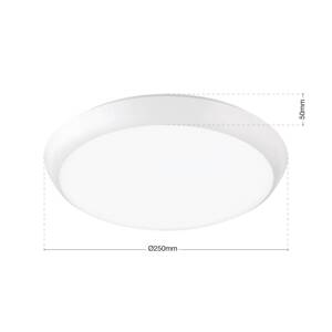 Maggy LED stropné svietidlo, Ø 25 cm, biele, CCT, IP65, dekoratívne krúžky